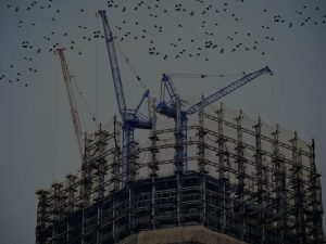 construction industry insurance