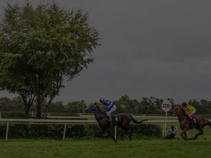 horse racing track insurance